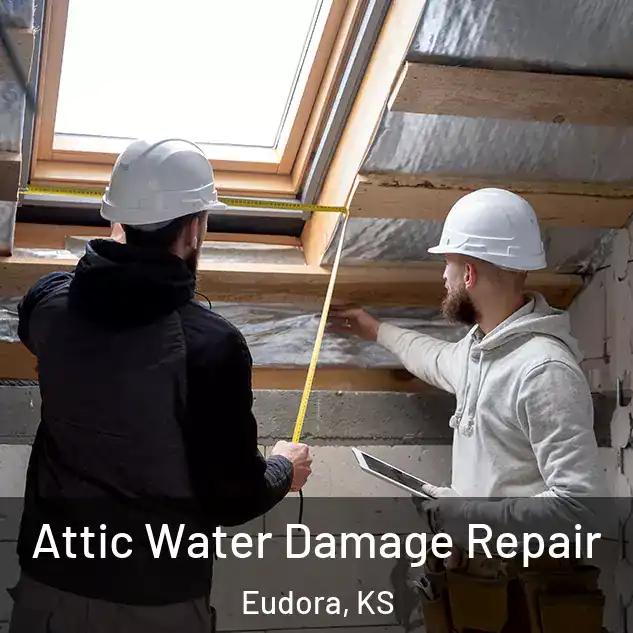  Attic Water Damage Repair Eudora, KS