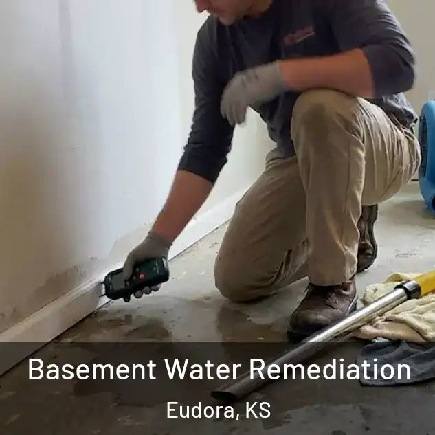  Basement Water Remediation Eudora, KS