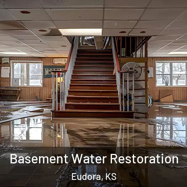  Basement Water Restoration Eudora, KS