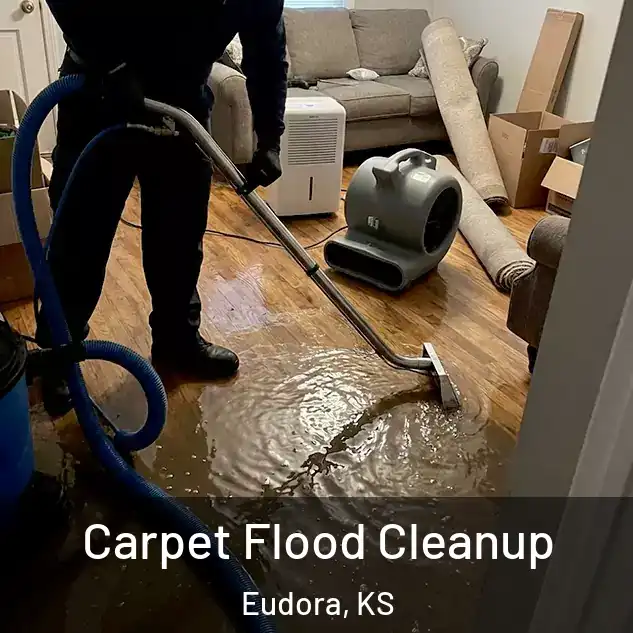  Carpet Flood Cleanup Eudora, KS