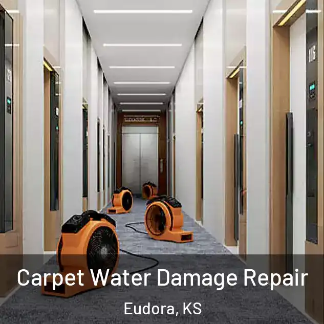  Carpet Water Damage Repair Eudora, KS