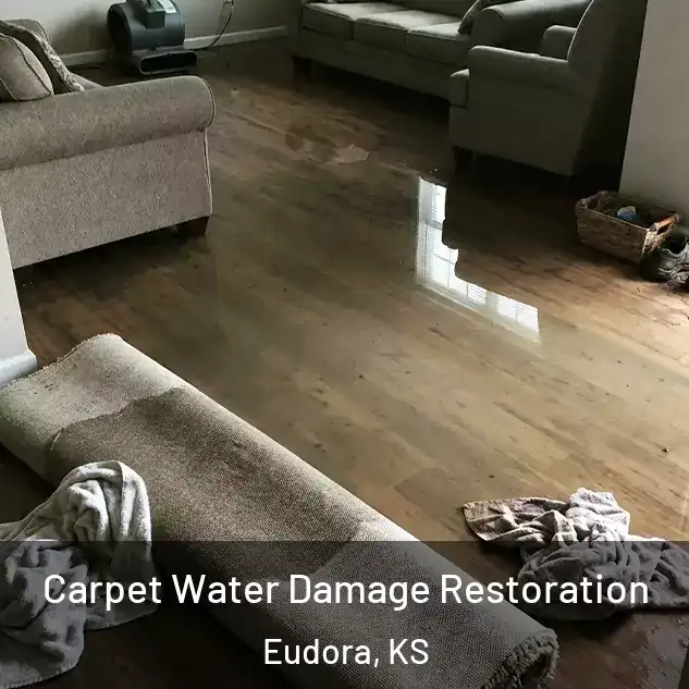  Carpet Water Damage Restoration Eudora, KS