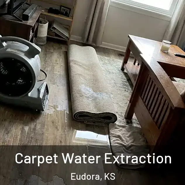  Carpet Water Extraction Eudora, KS