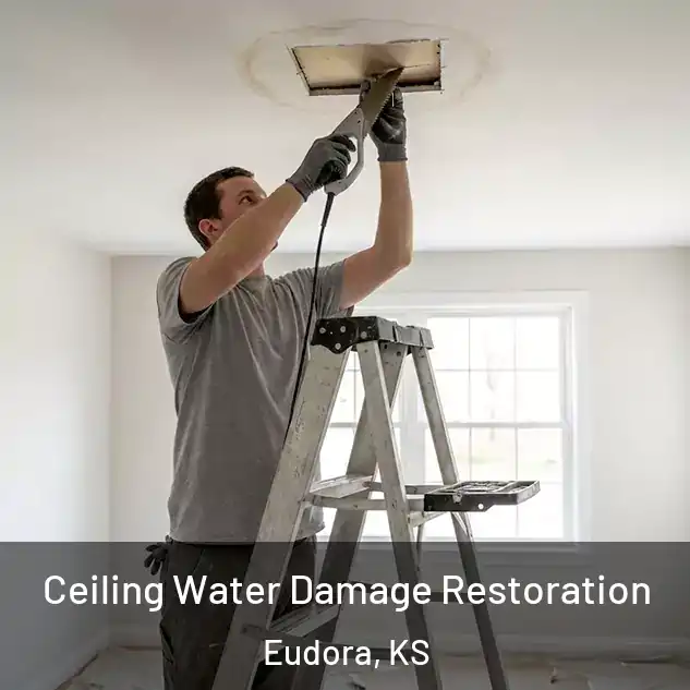  Ceiling Water Damage Restoration Eudora, KS