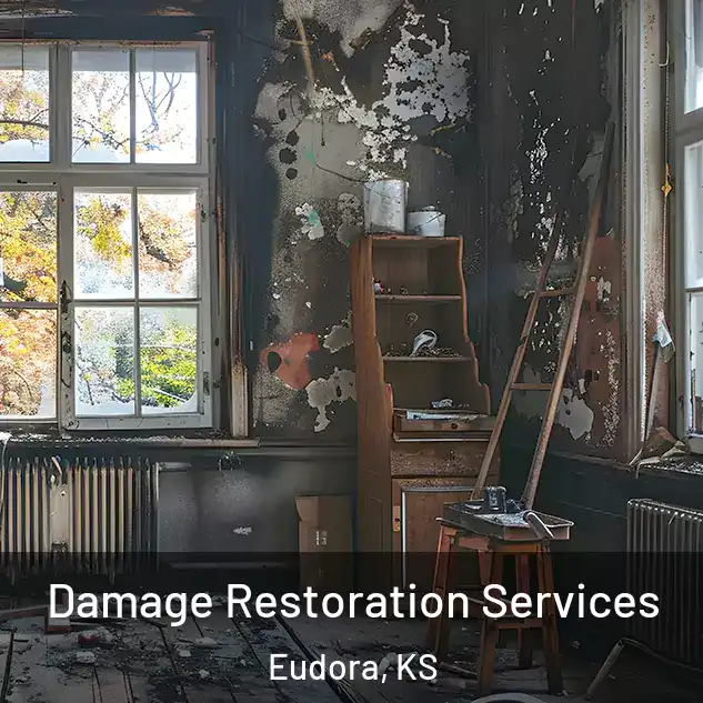  Damage Restoration Services Eudora, KS