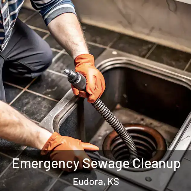  Emergency Sewage Cleanup Eudora, KS
