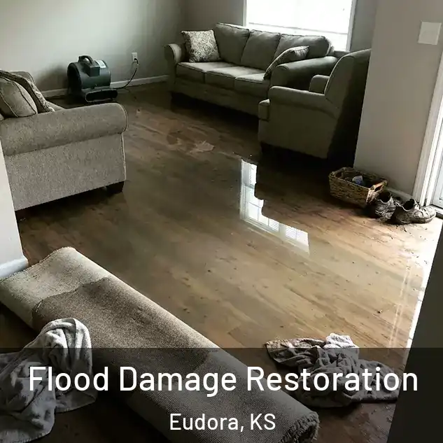  Flood Damage Restoration Eudora, KS