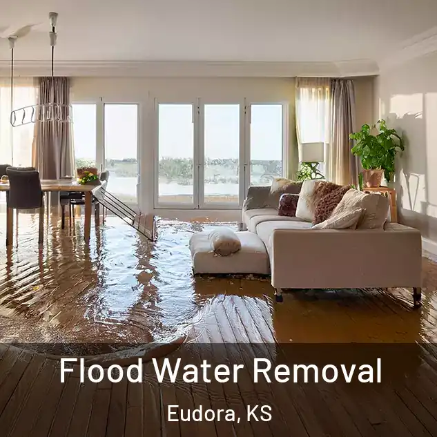  Flood Water Removal Eudora, KS