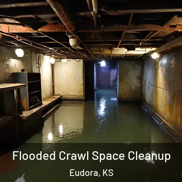  Flooded Crawl Space Cleanup Eudora, KS