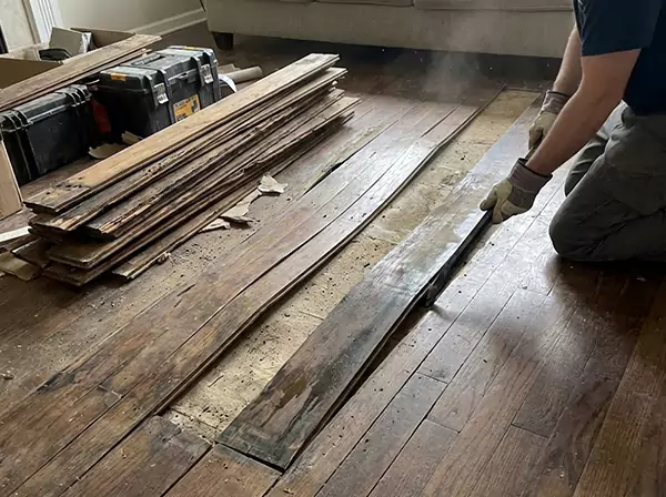 Water Damage Drying in Eudora
