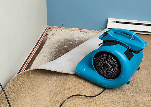 Your Water Damage Experts in Eudora, KS