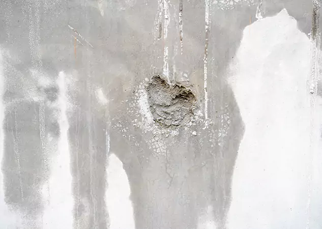 Your Mold Mitigation Solutions Partner in Eudora, KS