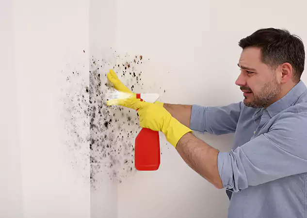 Your Water Mold Fire Restoration Partner in Eudora, KS