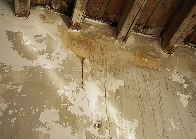 Your Trusted Restoration Company in Eudora, KS