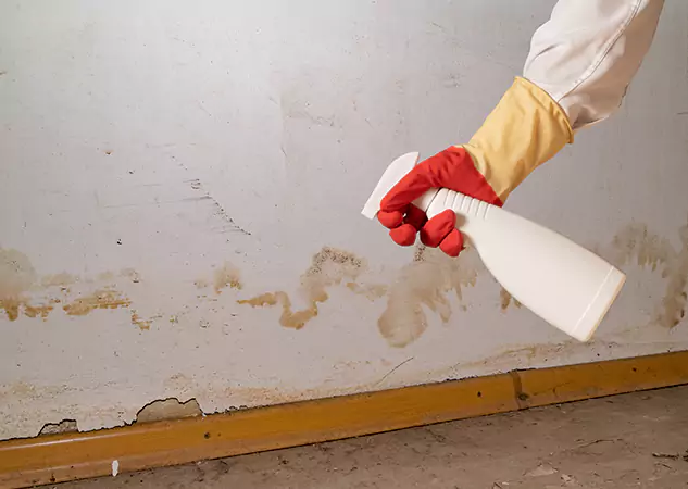 Your Water Restoration and Mold Remediation Specialists in Eudora, KS