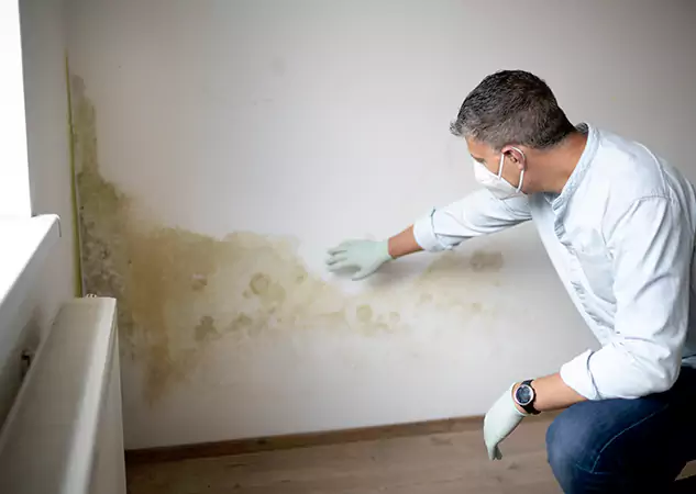 Reach Our Remediation Team Before Damage Grows in Eudora, KS!
