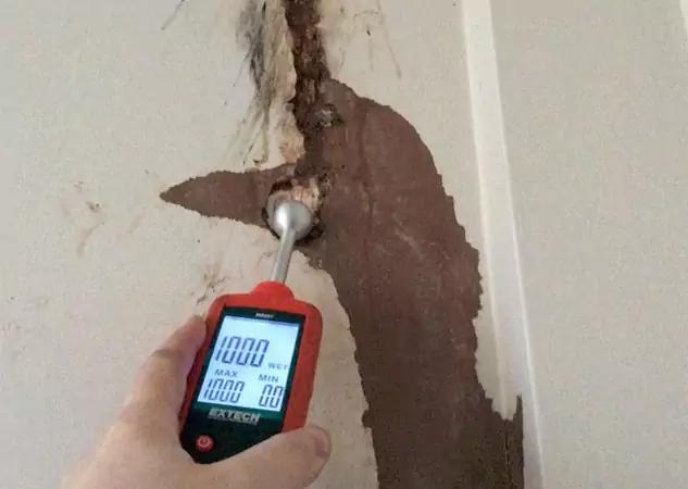 Your Water Damage Assessment Partner in Eudora, KS