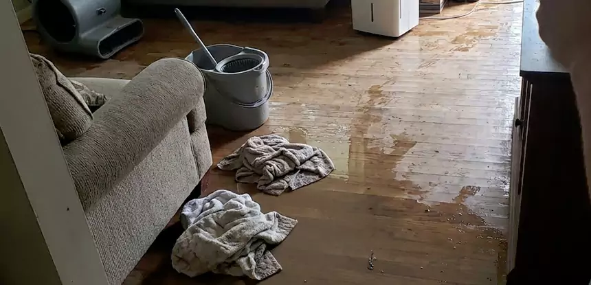 Professional Basement Water Remediation Services in Eudora, KS