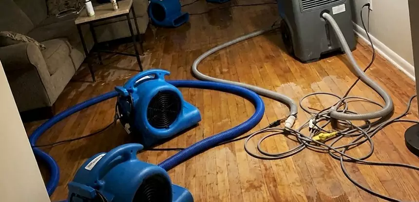 Basement Flood Restoration Services in Eudora