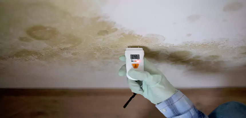 Emergency Mold Remediation in Eudora
