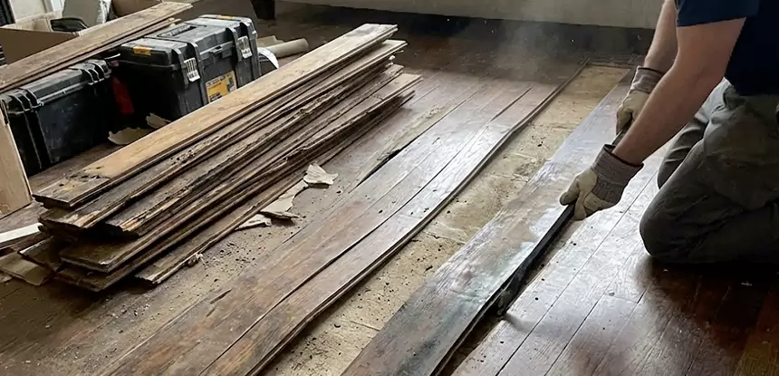 Wood Rot and Fungus Repair in Eudora