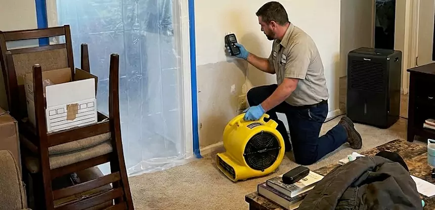 Carpet Water Damage Repair Eudora