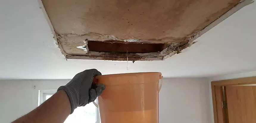 Ceiling Mold Repair Eudora