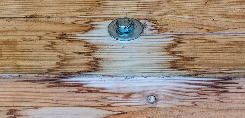 Fixing Water Marks on Wood in Eudora