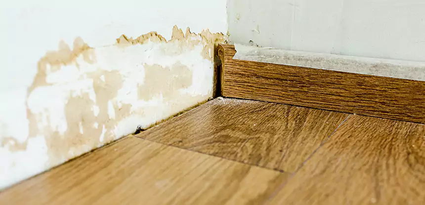 Professional Fix Water Damaged Wood Services in Eudora, KS