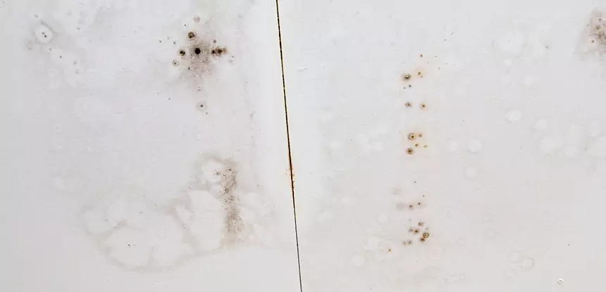 Professional Water Stain Repair Services in Eudora, KS