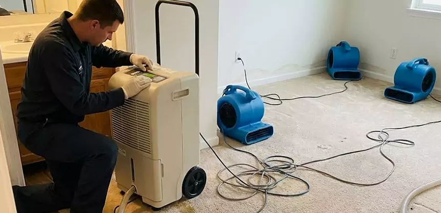 Professional Wet Carpet Removal Services in Eudora, KS