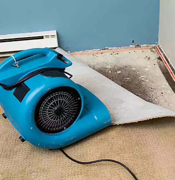 Why Eudora Trusts Eudora Restoration Pro for Carpet Flood Recovery?