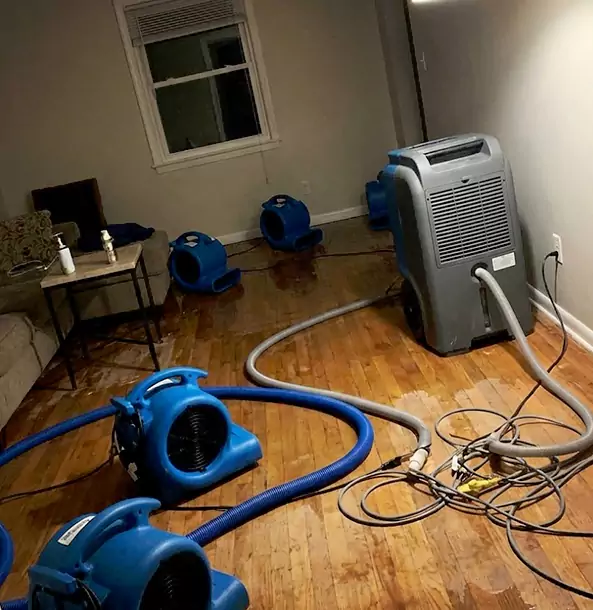 Why Eudora Calls Eudora Restoration Pro First for Emergency Restoration?