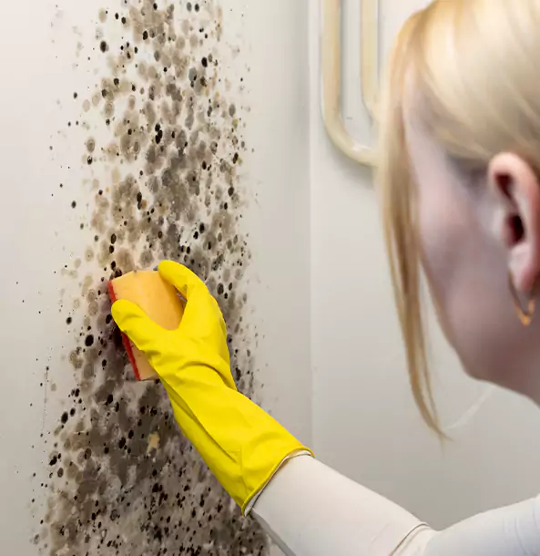 Why Eudora Restoration Pro Leads Mold Remediation in Eudora?