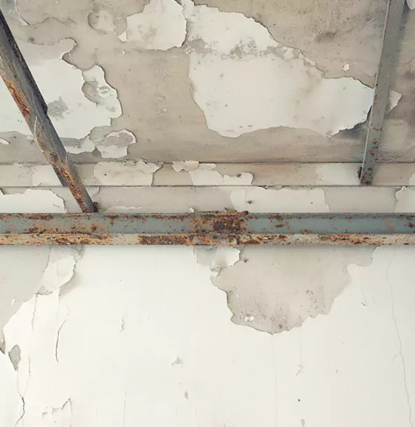 Why Eudora Restoration Pro Is the Right Choice in Eudora, KS?
