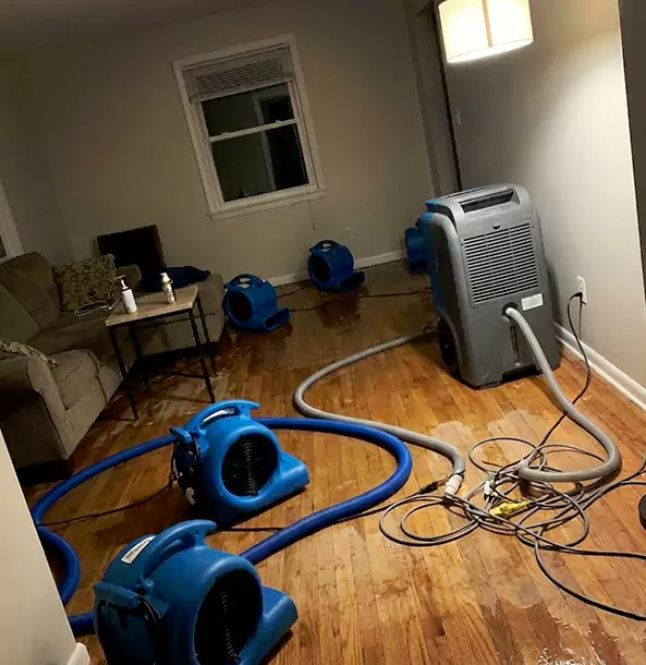 Why Eudora Property Owners Rely on Eudora Restoration Pro for Remediation?