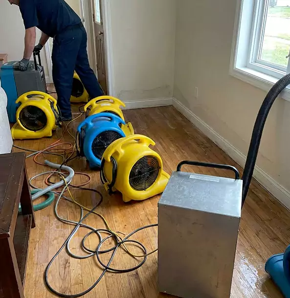 Why Eudora Property Owners Choose Eudora Restoration Pro for Remediation?