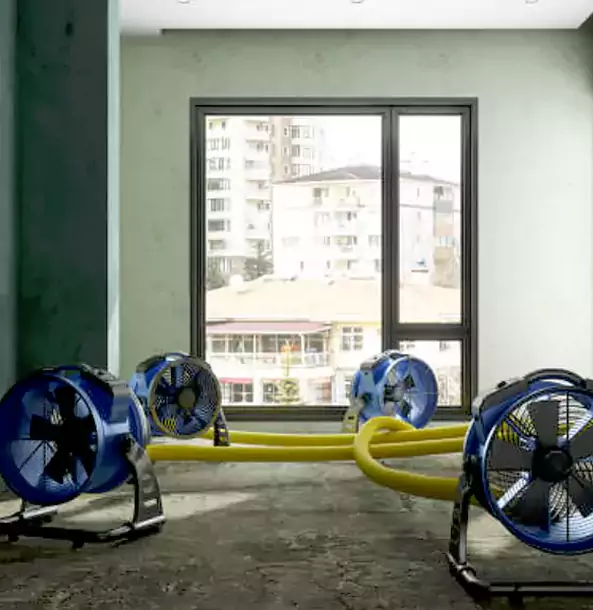Why Eudora Property Owners Trust Eudora Restoration Pro for Water Damage Drying?