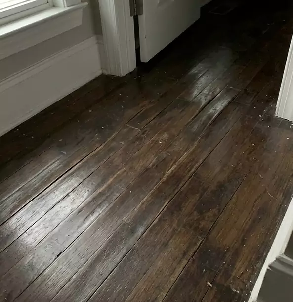 Why Eudora Homeowners Trust Eudora Restoration Pro to Fix Water Damaged Wood?