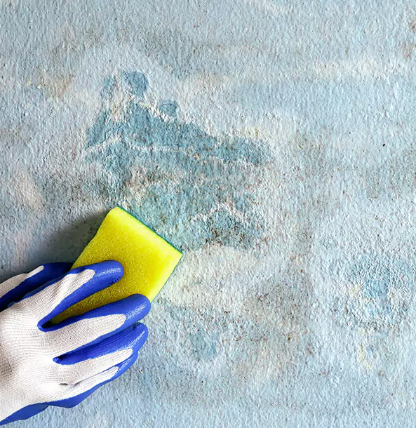 Why Eudora Restoration Pro Is the Right Choice in Eudora, KS?