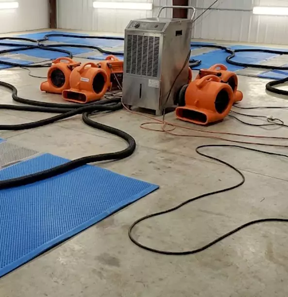 Why Eudora Homeowners and Businesses Choose Eudora Restoration Pro for Wet Carpet Removal?