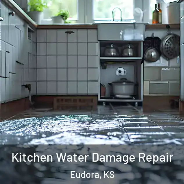  Kitchen Water Damage Repair Eudora, KS