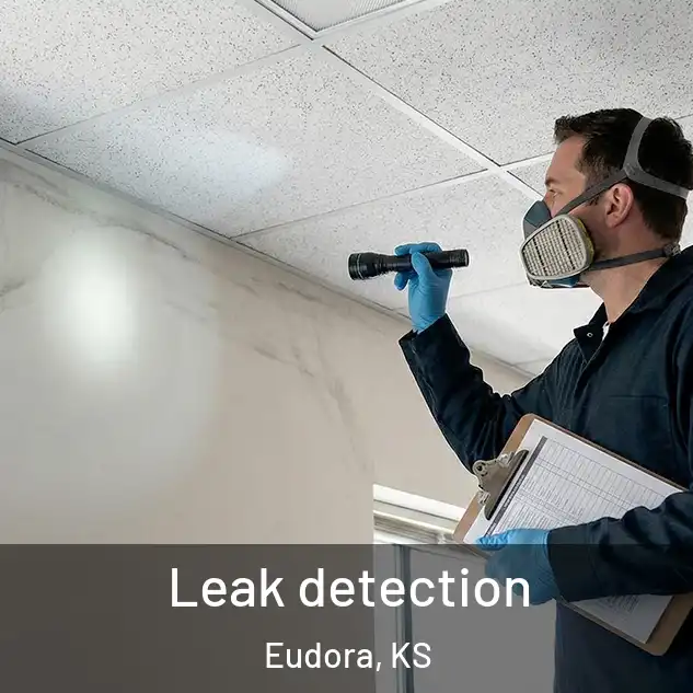  Leak detection Eudora, KS