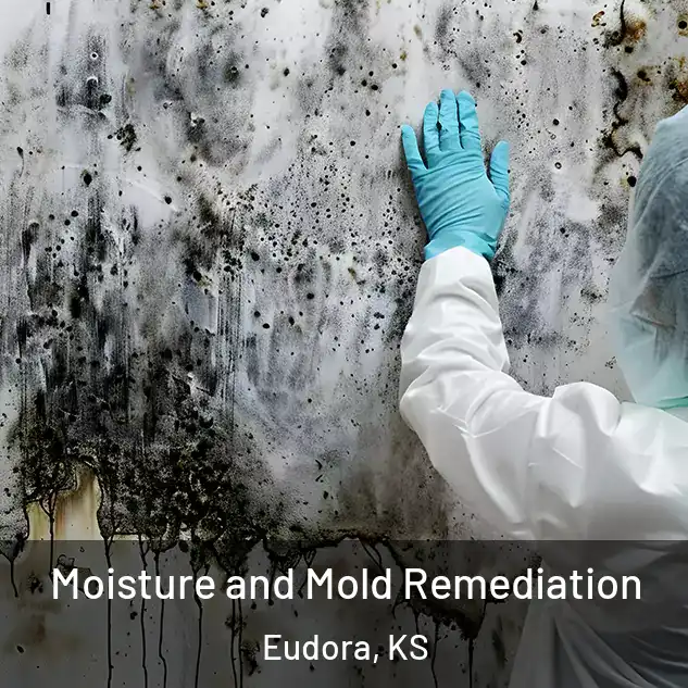  Moisture and Mold Remediation Eudora, KS