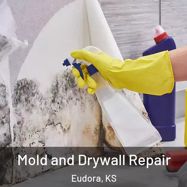  Mold and Drywall Repair Eudora, KS