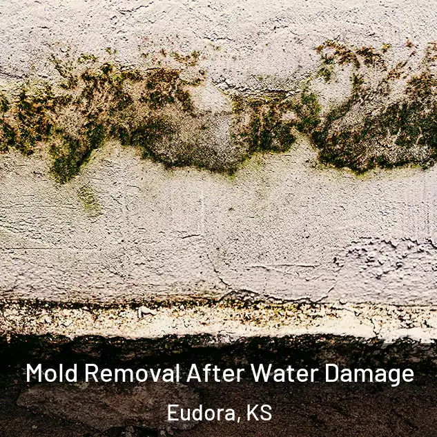  Mold Removal After Water Damage Eudora, KS