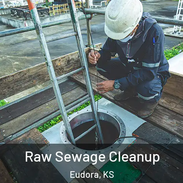  Raw Sewage Cleanup Eudora, KS