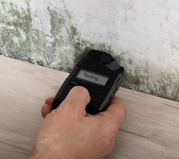 Mold Remediation Service Eudora