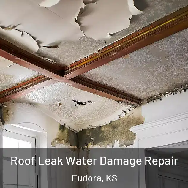  Roof Leak Water Damage Repair Eudora, KS