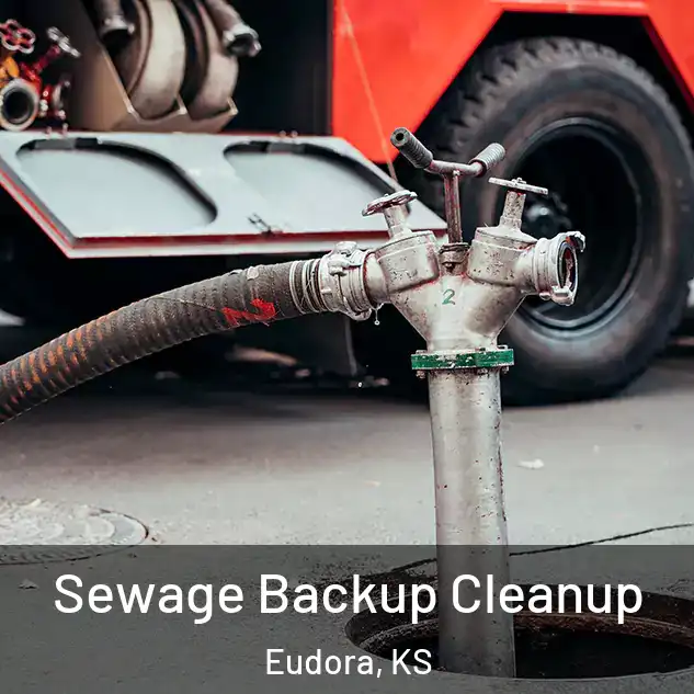  Sewage Backup Cleanup Eudora, KS